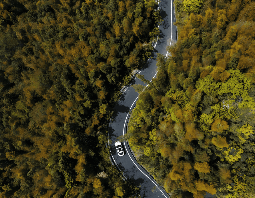 Carbon Neutrality Goals Image